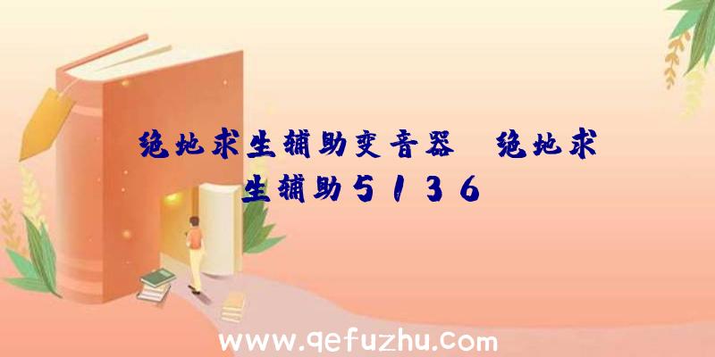 「绝地求生辅助变音器」|绝地求生辅助5136